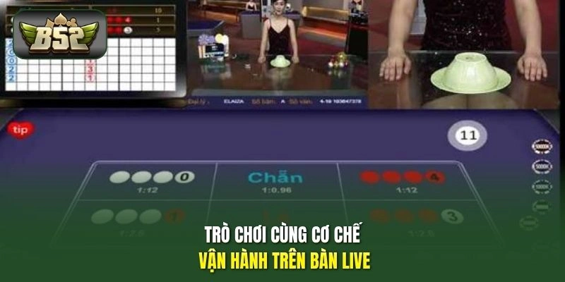 Trò chơi cùng cơ chế vận hành trên bàn live